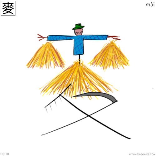 kangxi-radical-11-199-traditional-mai4-wheat